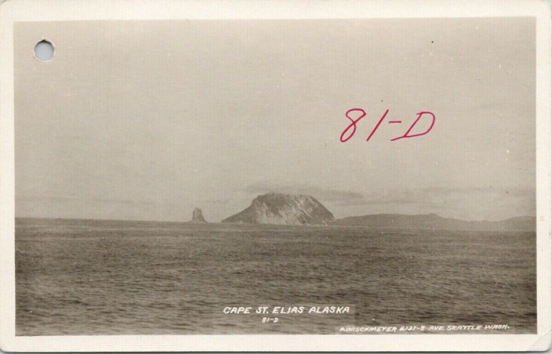 Cape St. Elias Alaska AK P. Wischmeyer Seattle WA RPPC Postcard G91 *as is 