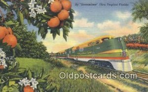 Streamliner, Florida, FL USA Trains, Railroads Unused 