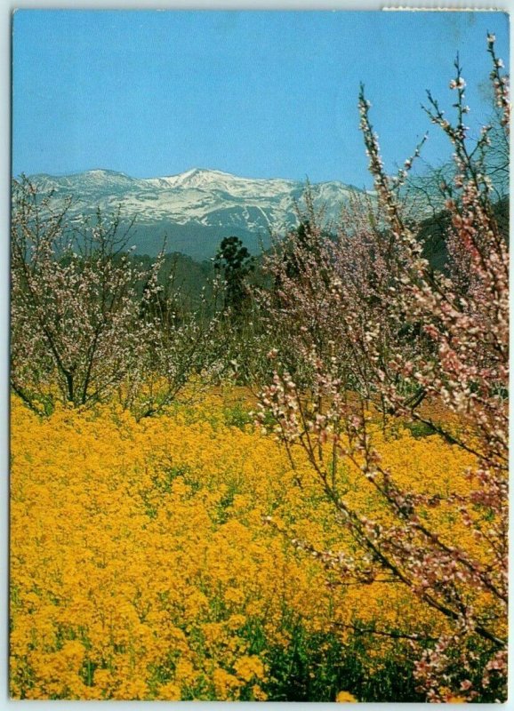 Postcard - Mt. Katsutadake - Quasi National Park - Tohoku, Japan 