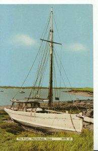 Essex Postcard - The River - Maylandsea - Essex - Ref TZ833