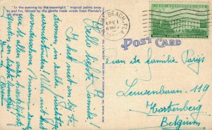 USA Moonlight and Palms Florida Linen Postcard 07.88