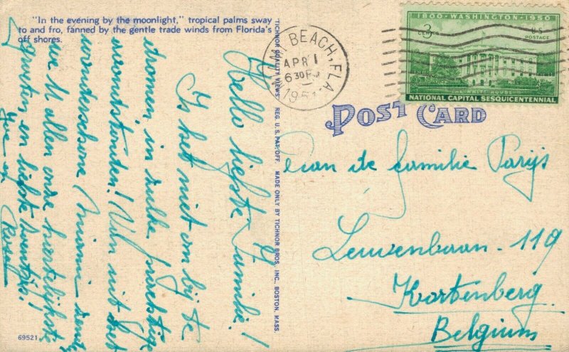 USA Moonlight and Palms Florida Linen Postcard 07.88