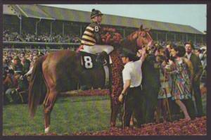 Horses,KY Derby,Churchill Downs,Louisville,KY Postcard 