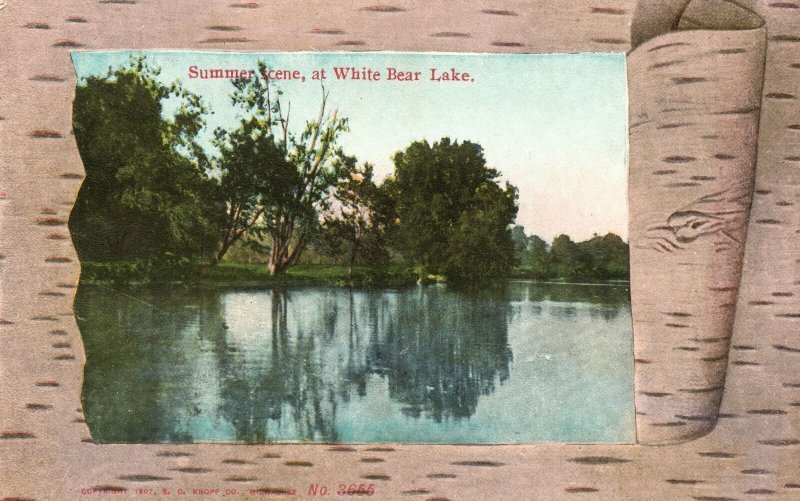 Vintage Postcard 1909 Summer Scene at White Bear Lake Minnesota MN
