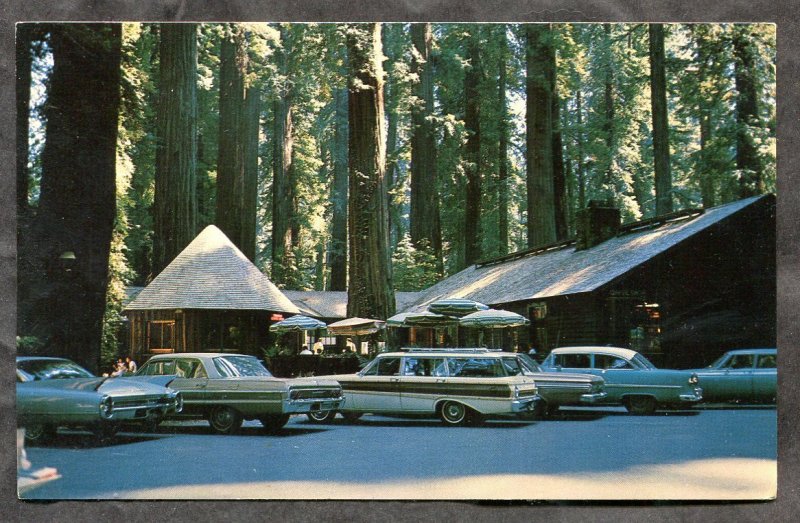 dc103 - Richardson Grove State Park Ca 1970s Cars The Patio. Redwoods