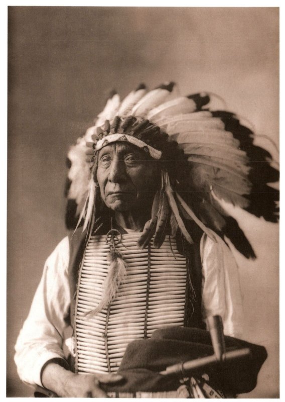 VINTAGE CONTINENTAL SIZE POSTCARD OGLALA SIOUX CHIEF RED CLOUD MAHPIYA LUTA