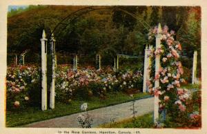 Canada - Ontario, Hamilton. Rose Gardens