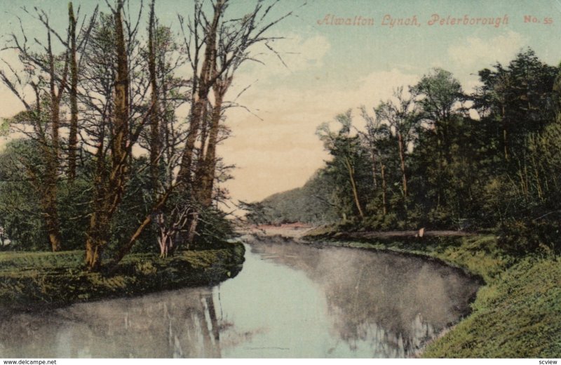 Peterborough , England , 1900-10s ; Alwalton Lynch