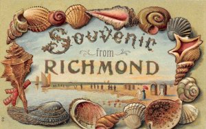 LP82 Richmond Virginia Postcard Sea Shell Border Seashells