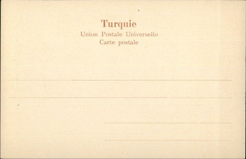 Damas Damascus Syria Turkey Split View Consul Anglais c1905 Postcard