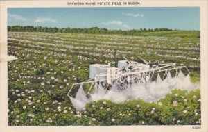 Maine Spraying A Potato Field In Bloom 1947