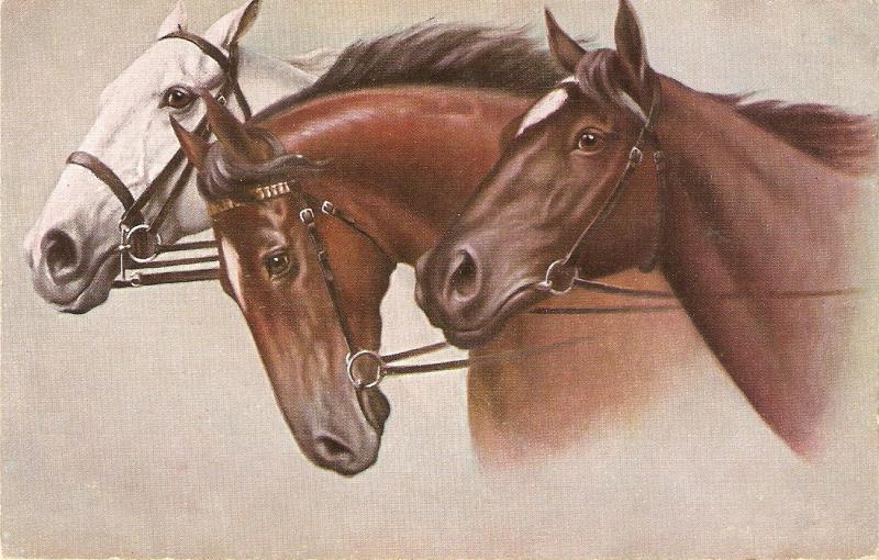 Three horses Nice antique German postcard