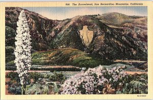 Postcard MOUNTAIN SCENE San Bernardino California CA AI1838