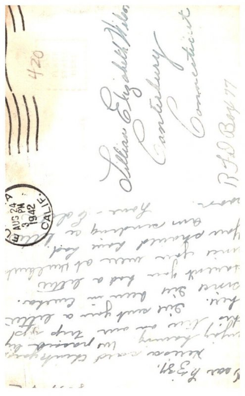 California  Dyerille Flats  Founders Tree , World's largest tree  RPPC