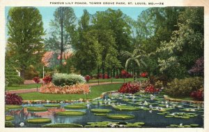 St. Louis MO-Missouri, 1935 Famous Lily Ponds Tower Grove Park Vintage Postcard