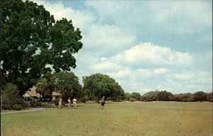 Retreat Plantation FL Florida Sea Island Golf Course c1950-60s Vintage Postcard