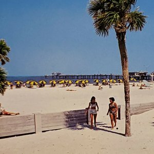 Vintage Postcard Clearwater Beach Florida Big Pier Gulf of Mexico 1984 trim  443