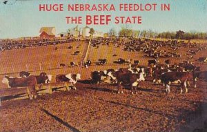 Nebraska Huge Nebraska Feedlot In The Beef State