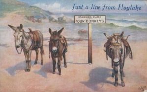 Hoylake Cheshire Donkey Waiting For Rides Cheshire Antique Donkeys 1919 Postcard