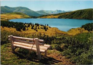 Auvergne Lac de Guery France Vintage Postcard D46