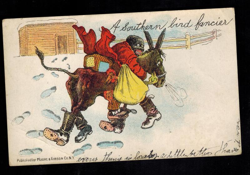 1904 Wingdale NY Postcard Cover Black Americana Boy Stealng Chicken Bird Fancier