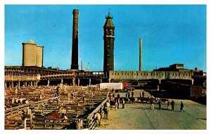 Postcard FARM SCENE Chicago Illinois IL AT5337