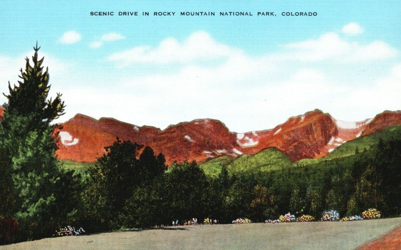 Vintage Postcard Scenic Drive Rocky Mountain National Park Colorado E.C. Kropp