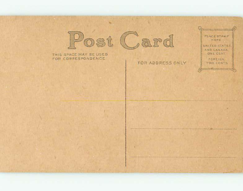 Unused Divided-Back easter CUTE BROWN BUNNY RABBIT IN THE GRASS r2866