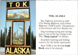 Tok, AK Alaska   ROADSIDE SIGN~Snow Gauge/Children/Bears GLENN HWY  4X6 Postcard