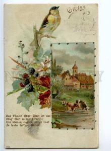 240494 Gruss BIRD Flower Landscape by C. KLEIN Vintage 1901 y