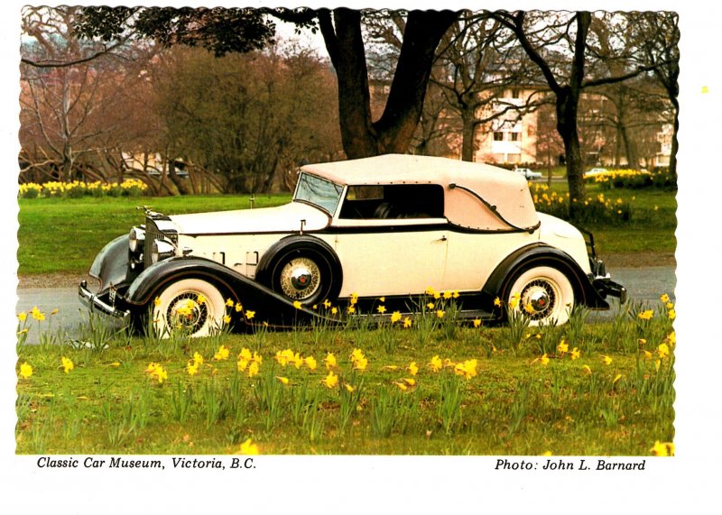 1934 Packard Standard Eight, Classic Car Museum, Victoria, British Columbia