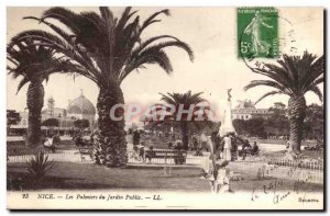 Nice Postcard Old Palm trees of the public garden (palms)