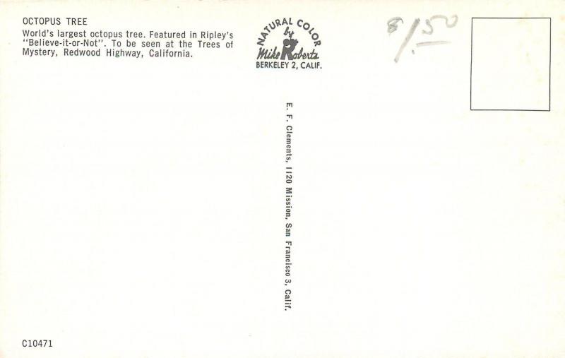 Redwood Highway California~Octopus Tree~1950s PC