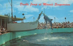 Double Jump Boat At Miami Seaquarium Dolphin Postcard