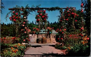 Postcard BC Victoria Butchart Gardens The Hanging Baskets of Roses 1960s K29