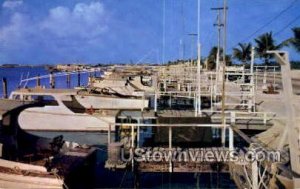 Fishing Fleet - Key West, Florida FL  