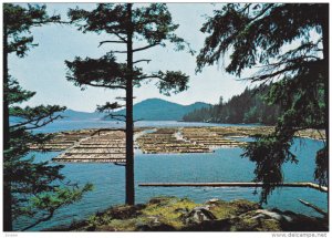 VANCOUVER, British Columbia, Canada, 1950-1970's;  Log Booming Grounds