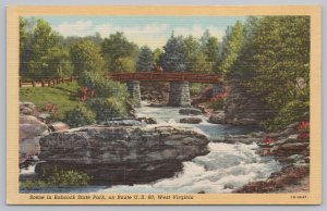 Linen~River Scene In Babcock State Park West Virginia~Vintage Postcard