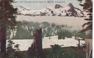 Tatoosh Range Mount Rainier National Park Washington WA 1908 DB Postcard