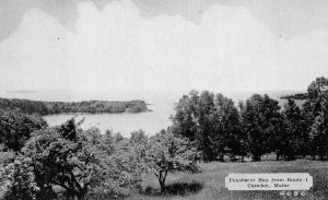 PENOBSCOT BAY FROM ROUTE 1 CAMDEN MAINE DEXTER PRESS POSTCARD (c. 1940s)