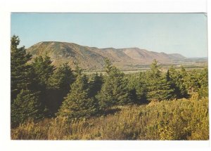 Sunrise Valley From North Mountain, Cape Breton NS, Vintage Chrome Postcard