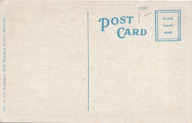 Sarus or Antigone Crane Washington Park Zoological Park Milwaukee WI Wisconsin