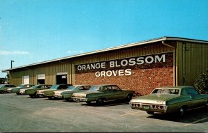 Florida Largo Orange Blossom Groves