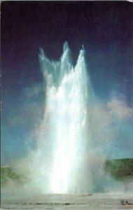 postcard Yellowstone - Great Fountain Geyser Lower Geyser Basin