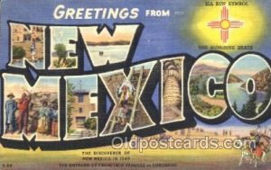 New Mexico, USA Large Letter Town Unused 