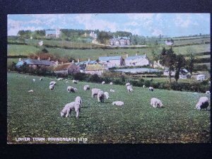 Devon Dartmoor LOWER TOWN POUNDSGATE - Old Postcard by Chapman & Son