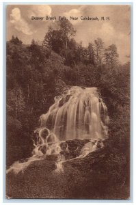 1913 Beaver Brook Falls Near Colebrook New Hampshire NH Antique Postcard 