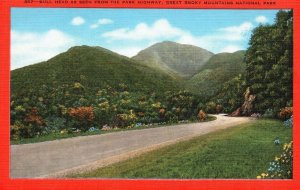 Vintage Postcard 1930's Bull Head Park Highway Great Smoky Mts. National Park