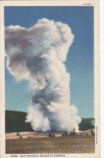 Wyoming Old Faithful Geyser At Sunrise 1936 Curteich