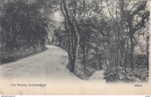 PORTISHEAD , Somerset , England, 1904, The Woods